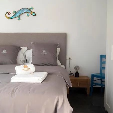 Vidal Apartamento San José